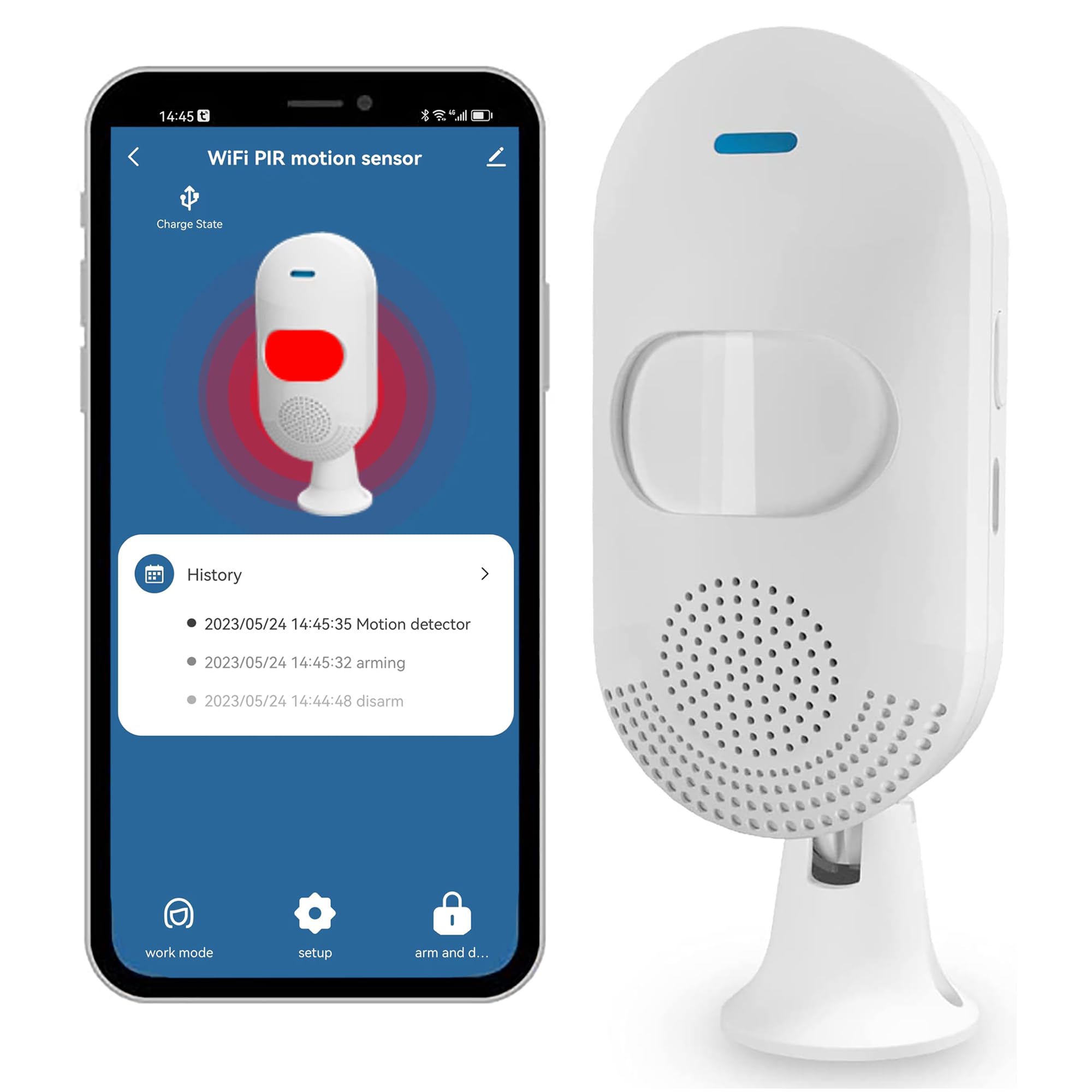 Motion Sensor Automation