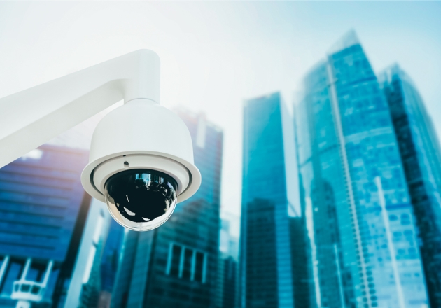 PTZ Camera Surveillance